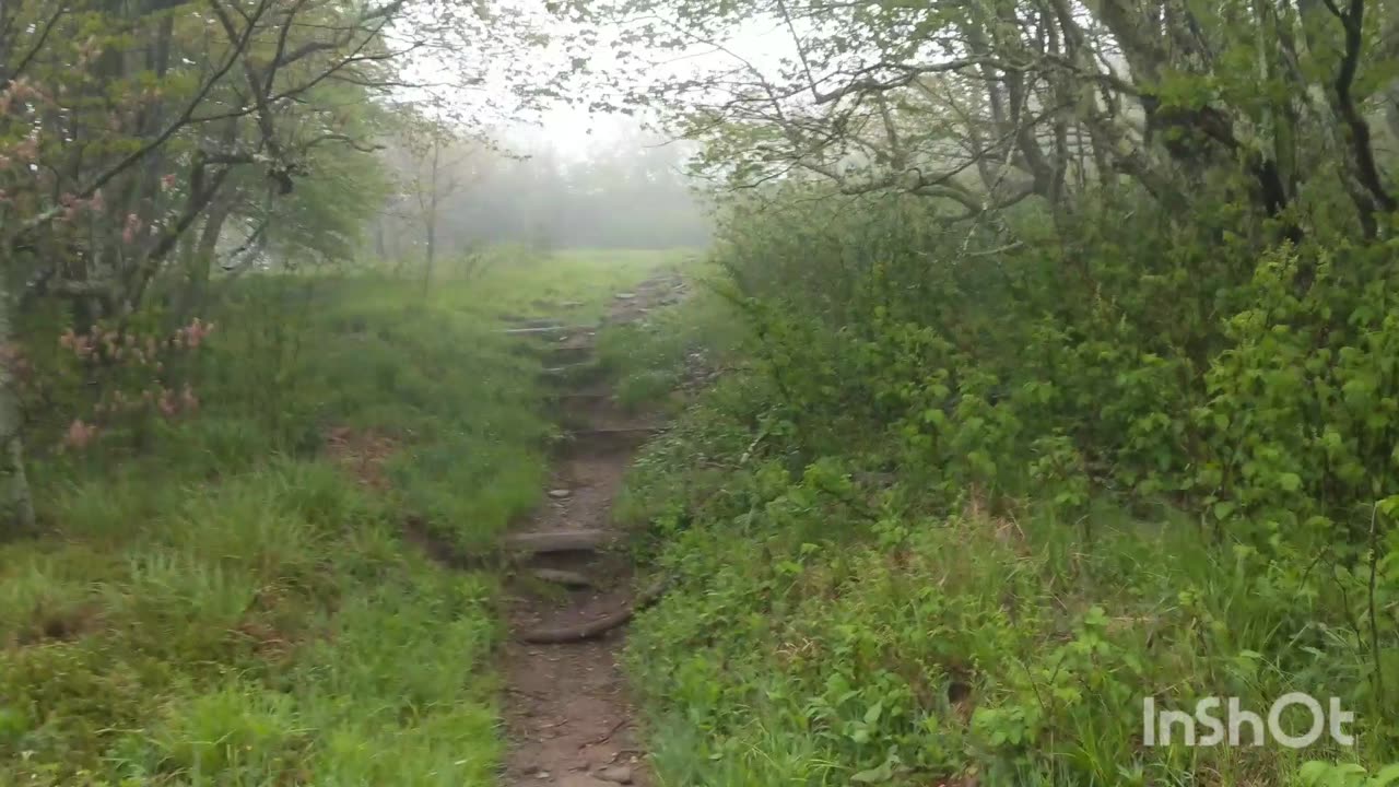 Day 2 - Appalachian Trail 2020 - NC, TN, VA, WV, MD , PA