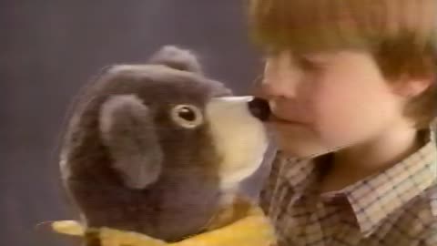 1986 - Bingo Bear Wants to Be Your Pal