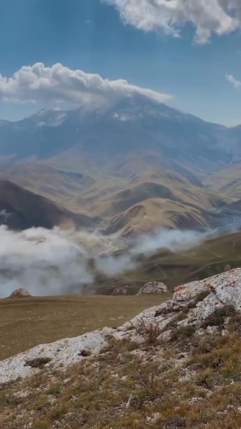 Nice place to have a cup of tea