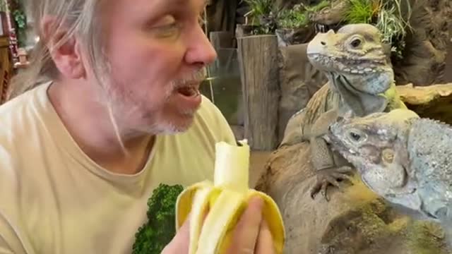 Sharing is caring, but leave the sharing with reptiles to me! 🍌