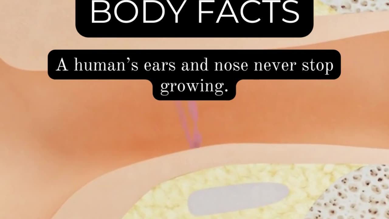 Uncover the Human Body: Remarkable Facts