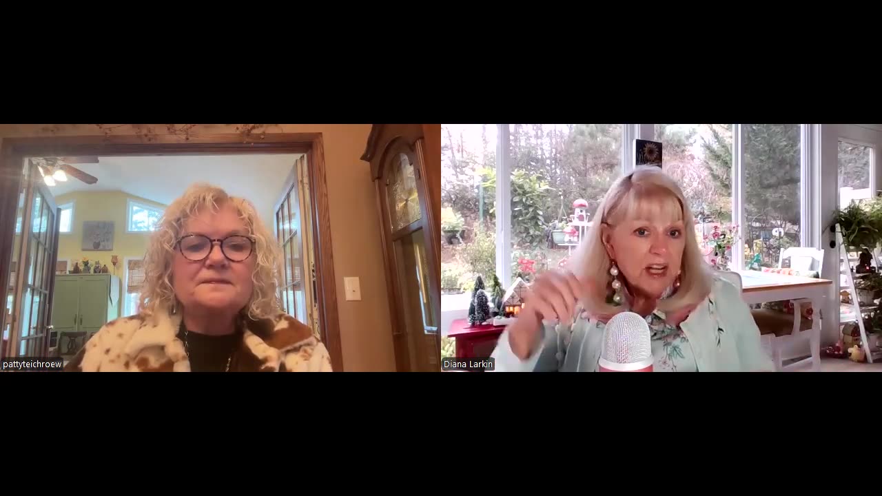 Diana Larkin w/ Patty Teichroew: PROPHECY! THEY WILL LOSE -- 11/21/24