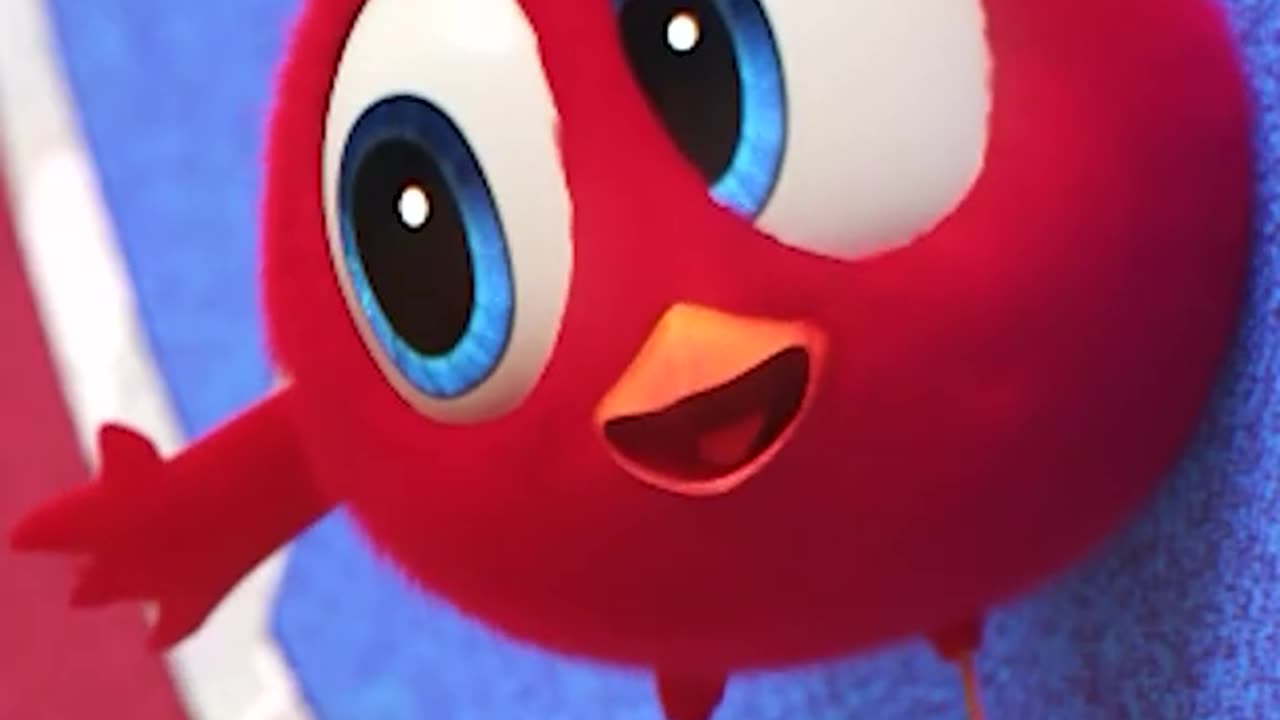 #SHORTS CHICKY