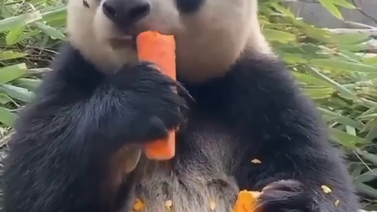 Just having a snack