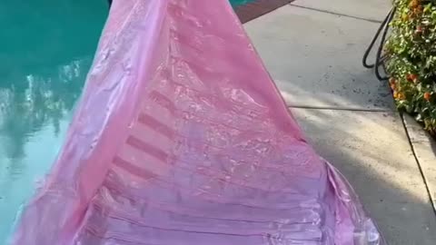 Fun in Water