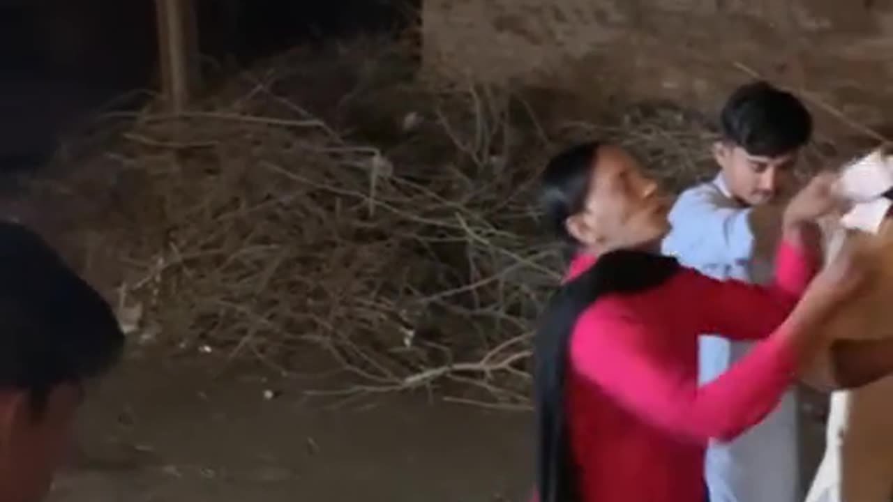 The most Dance viral video on social Media