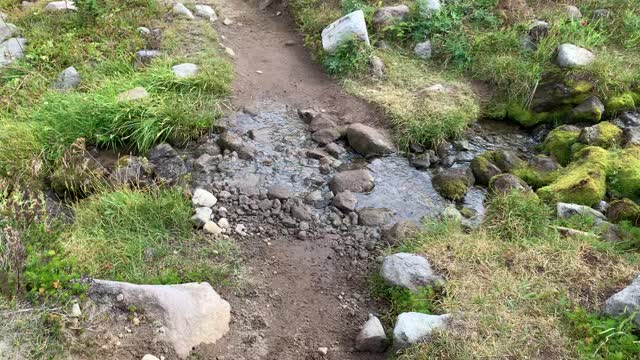 Oregon – Mount Hood – Creek Crossing in Narrow Alpine Valley