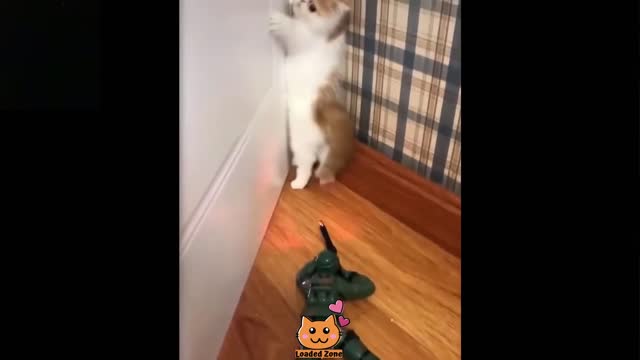 A kitten reacts after being attacked by a toy soldier