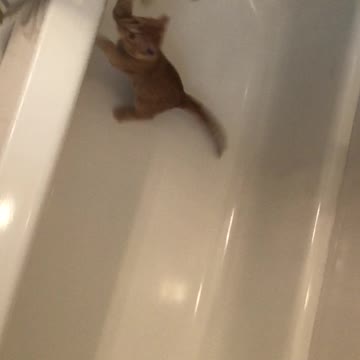 Rudy Plays Ping Pong In The Bathtub