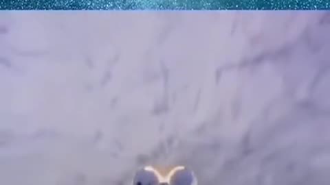 Russia has launched Rocket