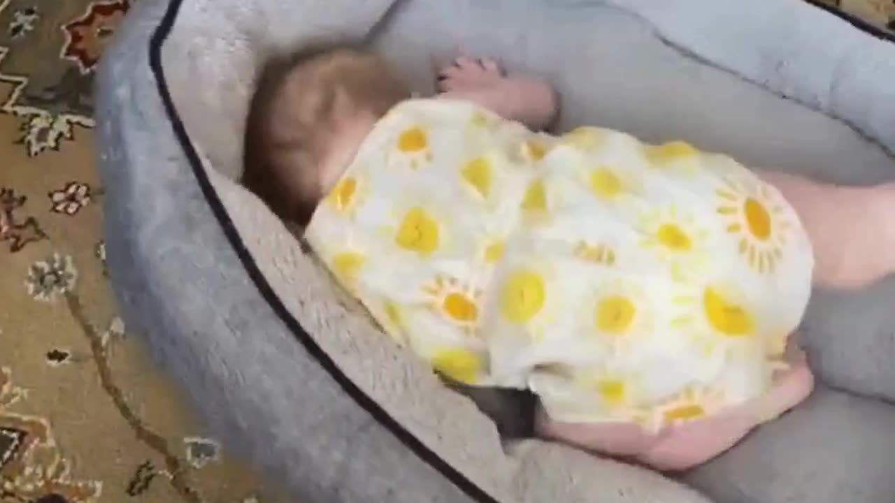 Cute & Funny Babies 😍🌸 #viral #shorts #baby #cutebaby #funnybaby #trending #kids #babyfolder