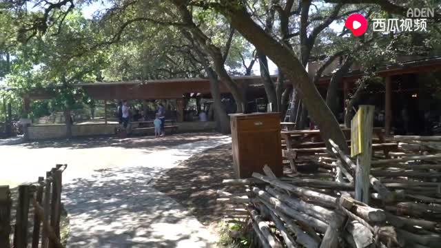 Texas Barbecue