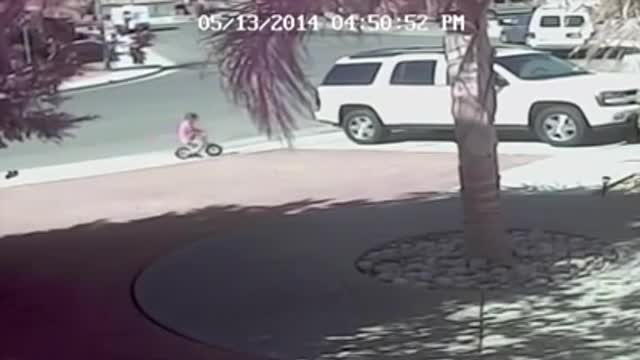 A cat saved a little girl from a dog