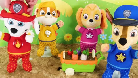 Video de aprendizaje para niños - ¡Picnic de la Paw Patrol!