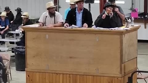 11 yr old auctioneers at Middlefield Ohio standardbred driving horse sale. May 28 2022