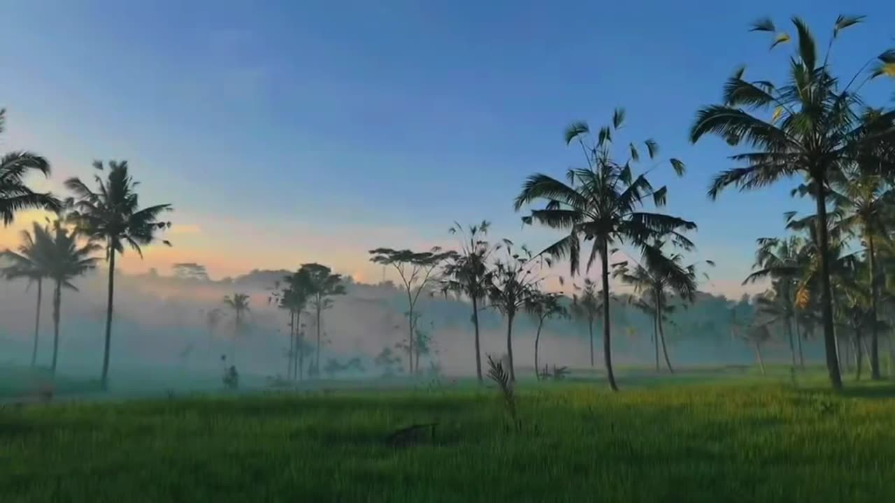 beauty of Indonesia