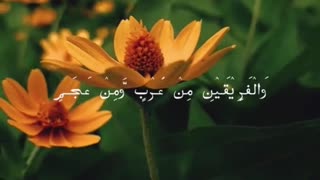 Qaseeda Burda Shareef | قصيدة البردة