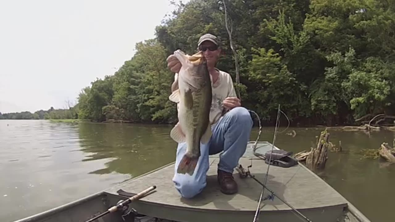 Holston River tank. 7+ lbs