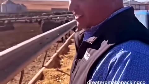Save The World Eat Only Meat