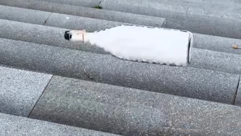 Just smile and be happy😂😂😂😂😂😂😂