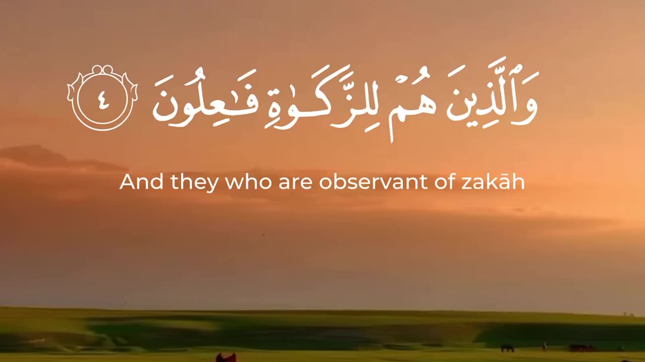 Who are the successfull?