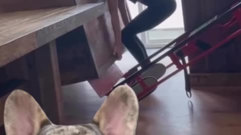 "I don't need a man"