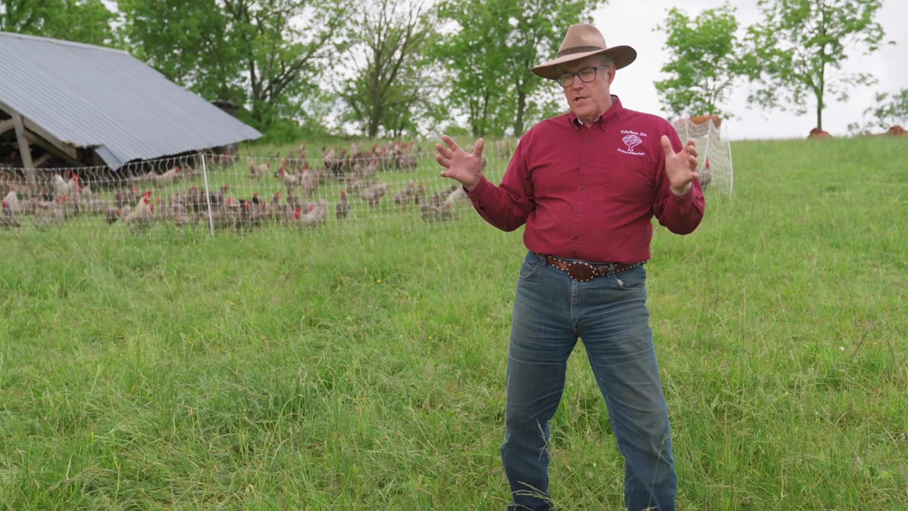 Is Avian Influenza a New Problem & How Do We Respond to It - Joel Salatin