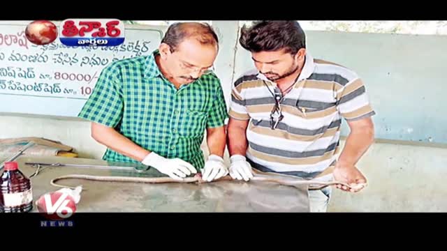 Wounded Cobra Undergoes Spinal Cord Surgery | Teenmaar News | V6 News