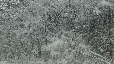 Fucken Snow in WISCONSIN