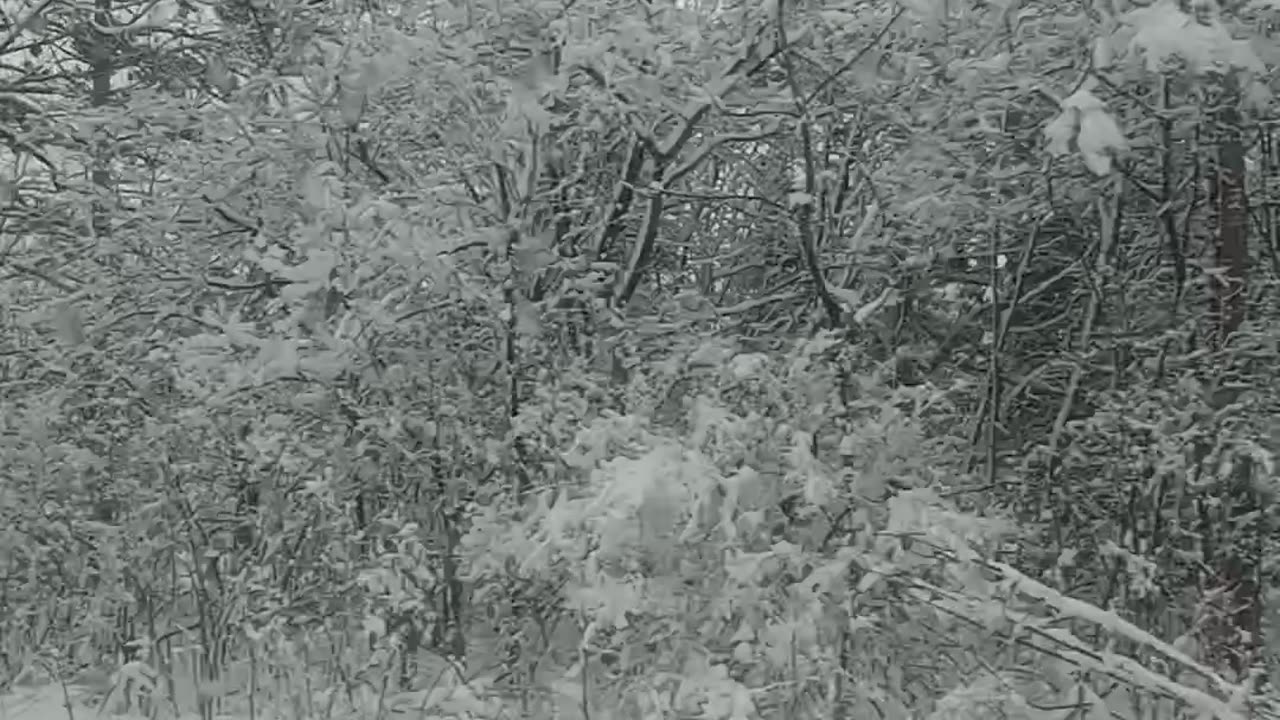 Fucken Snow in WISCONSIN