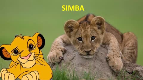 The lion king real life all characters