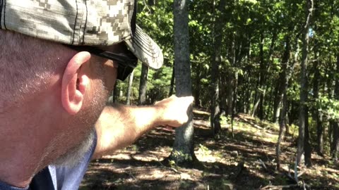 The Clear Cutting