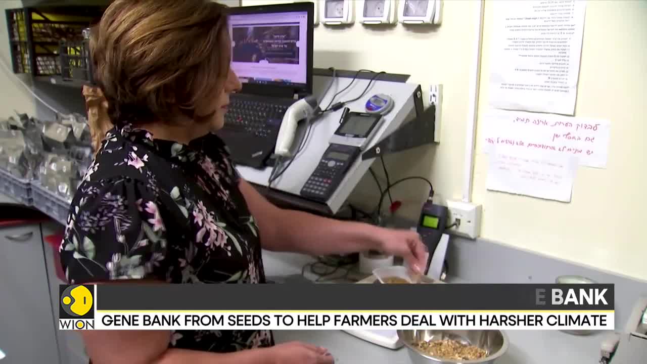Israel harness DNA of bygone wild crops; scientists try to secure food supply | Latest News | WION