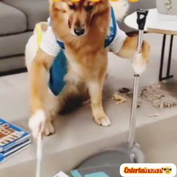 Viral🔥 funny😝 video