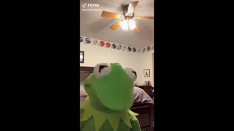 Kermitontiktok Funny videos compilation