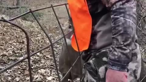 Hunters saves injured deer and receives a surprise