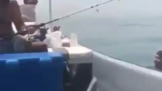 I just want to catch a fish