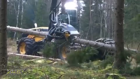 Cutting tree machine