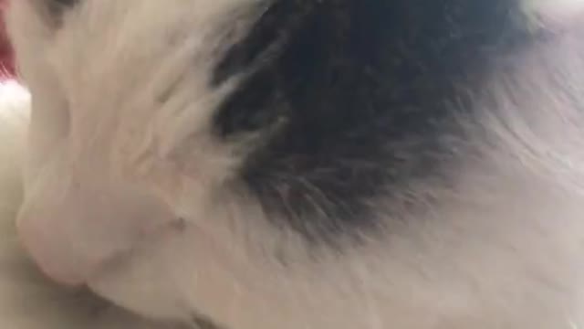 Having a bath.