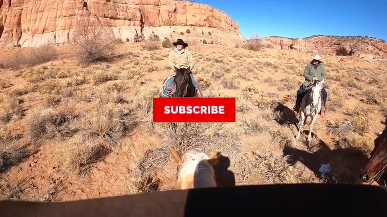 Roping Wild Burros On Navajo Reservation