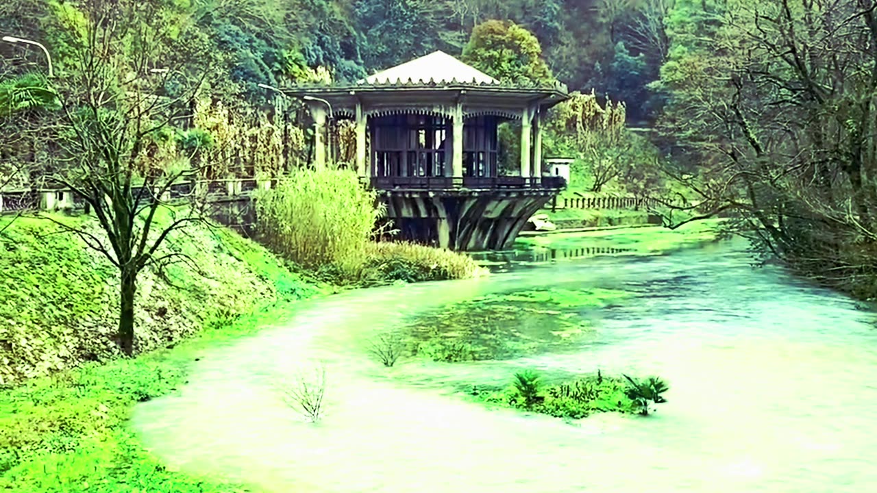Beautiful Natural view