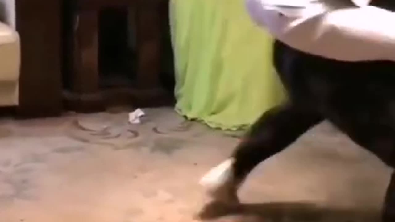 jajaja