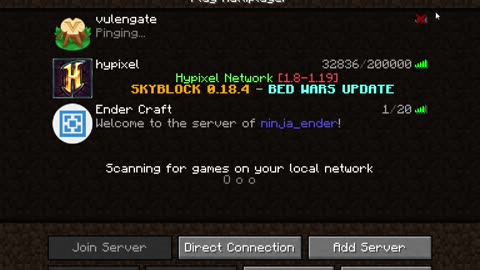 playing on a server i made with my sister