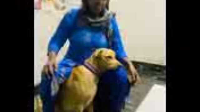 Funny dog training 😂 dog training
