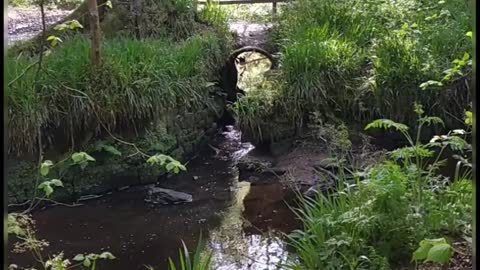 Old archway trail , Parkanur Forest Park, Northern Ireland