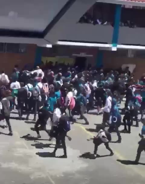 School fights go viral