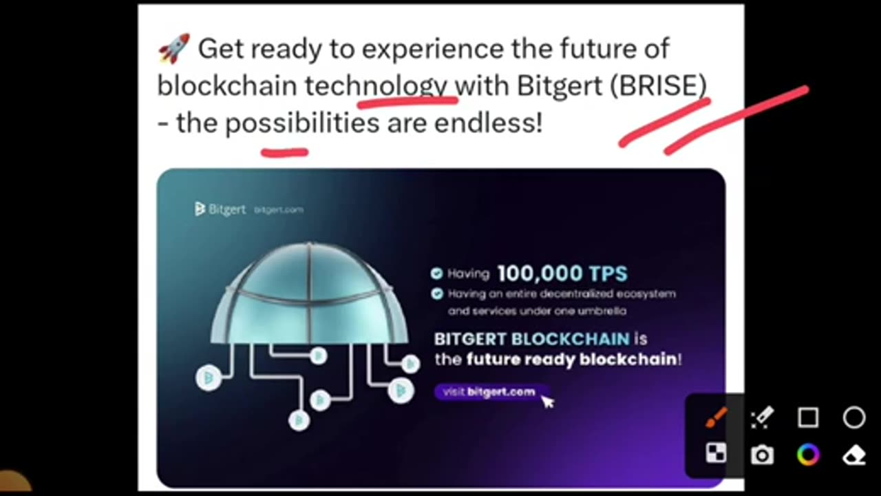 Bitgert Coin