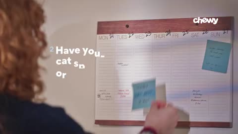 How To Stop Your Cat From Spraying | Chewtorials