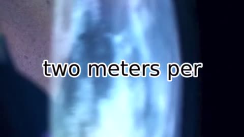 Fact About