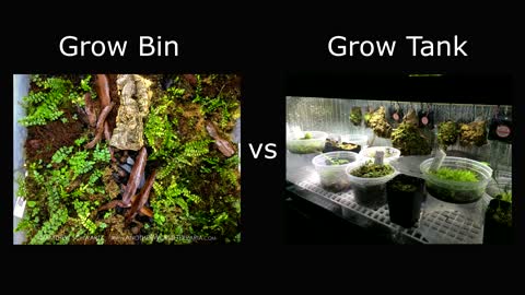 Bioactive Grow Bin Tutorial - Part 1